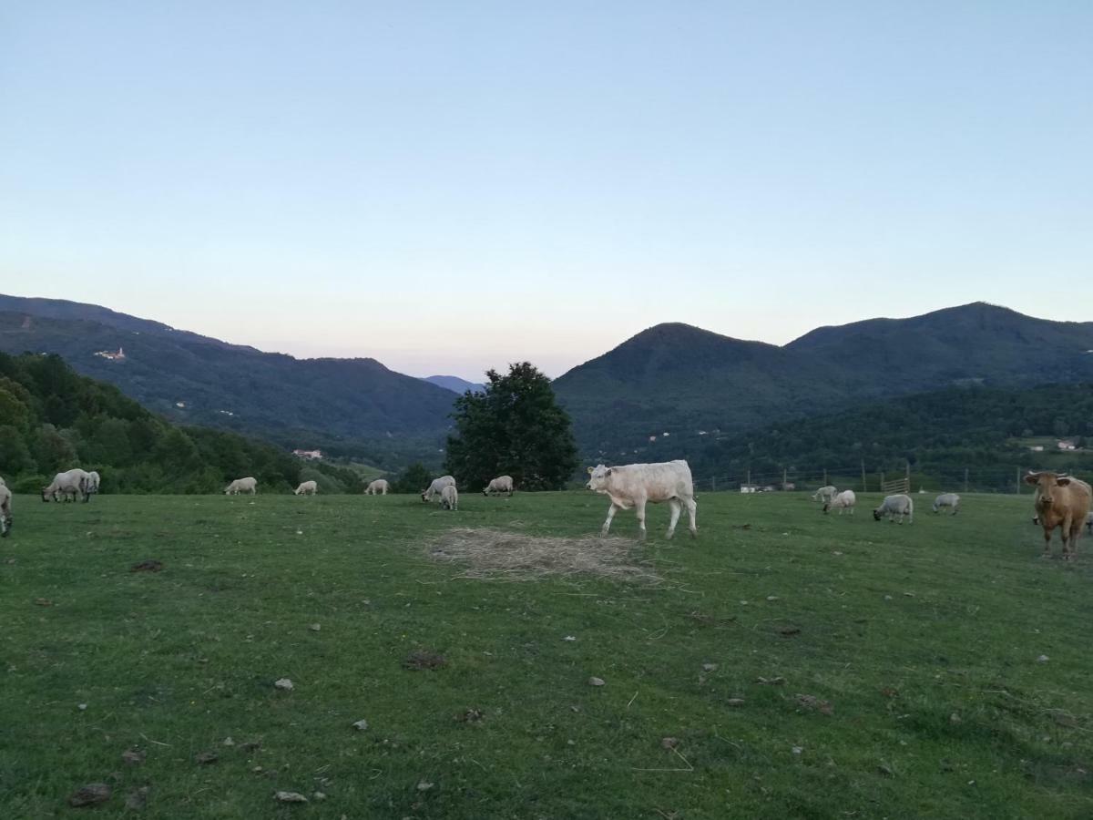 Agriturismo Dei Legi Vila San Pietro Vara Exterior foto