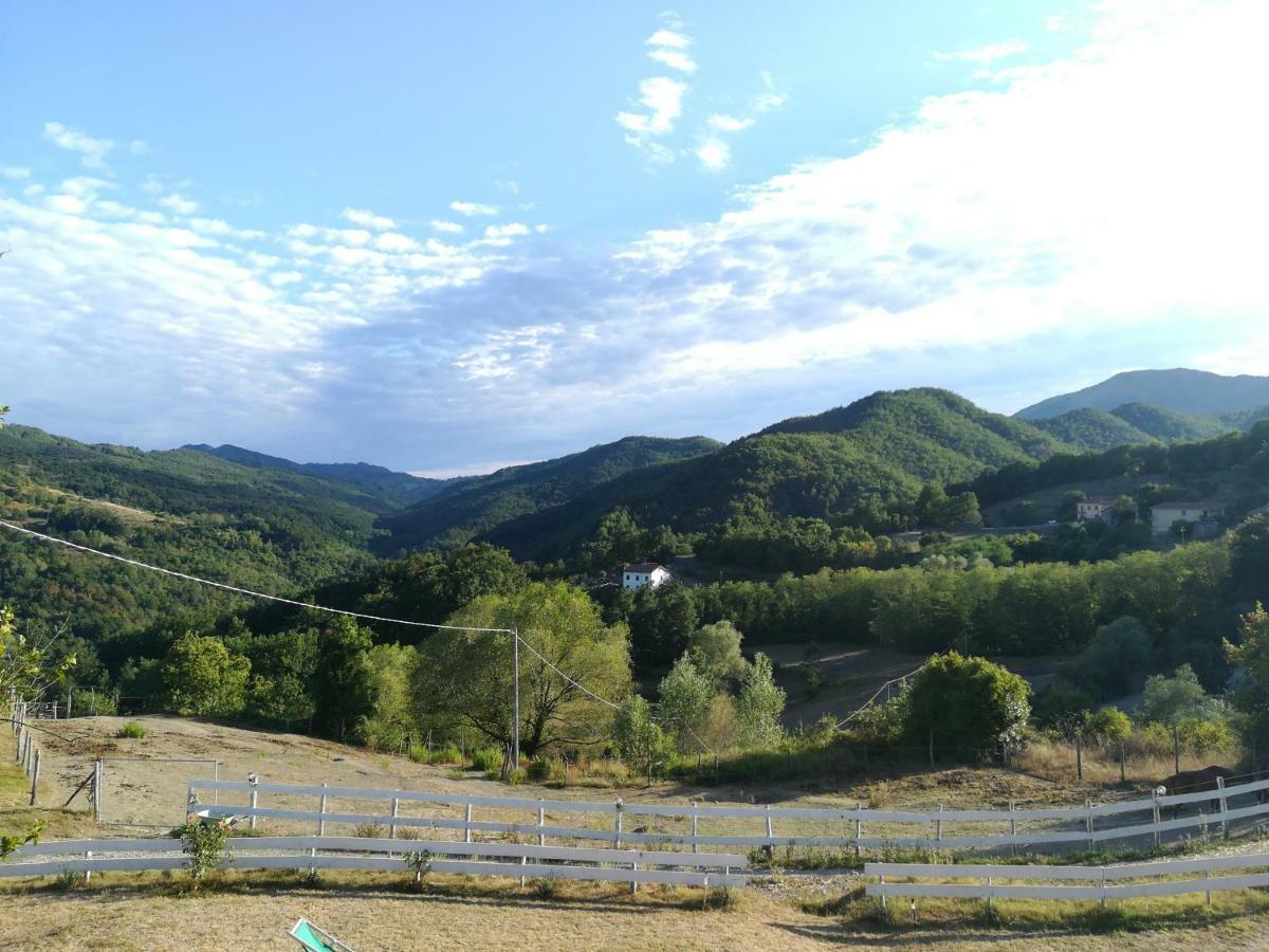 Agriturismo Dei Legi Vila San Pietro Vara Exterior foto