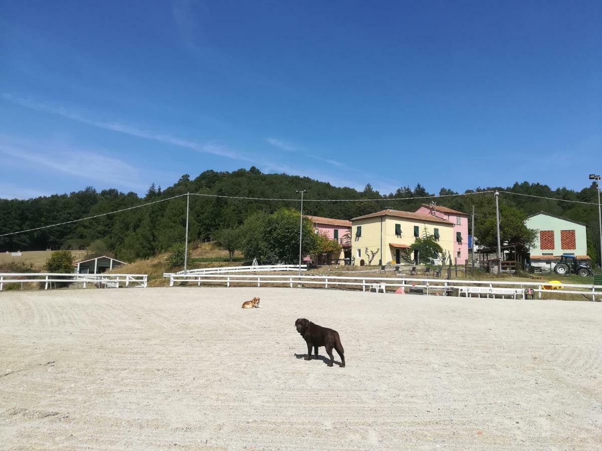 Agriturismo Dei Legi Vila San Pietro Vara Exterior foto